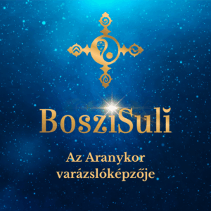 Boszisuli borító (Instagram-bejegyzés)(3) BosziSuli 5.évfolyam EMELT szint