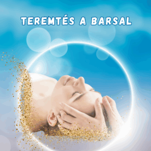 Címsor hozzáadása (Instagram-bejegyzés)(1) Teremtés a Barssal