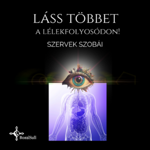 láss többet! (Instagram-bejegyzés) (3) Láss többet a lélekfolyosódon! Szervek suttogása
